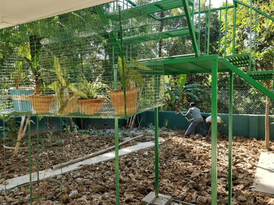 Bhitey Homestay Simantapally / Shantiniketan Екстер'єр фото